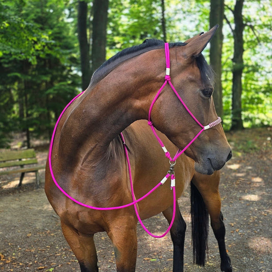 Zügel - Pink