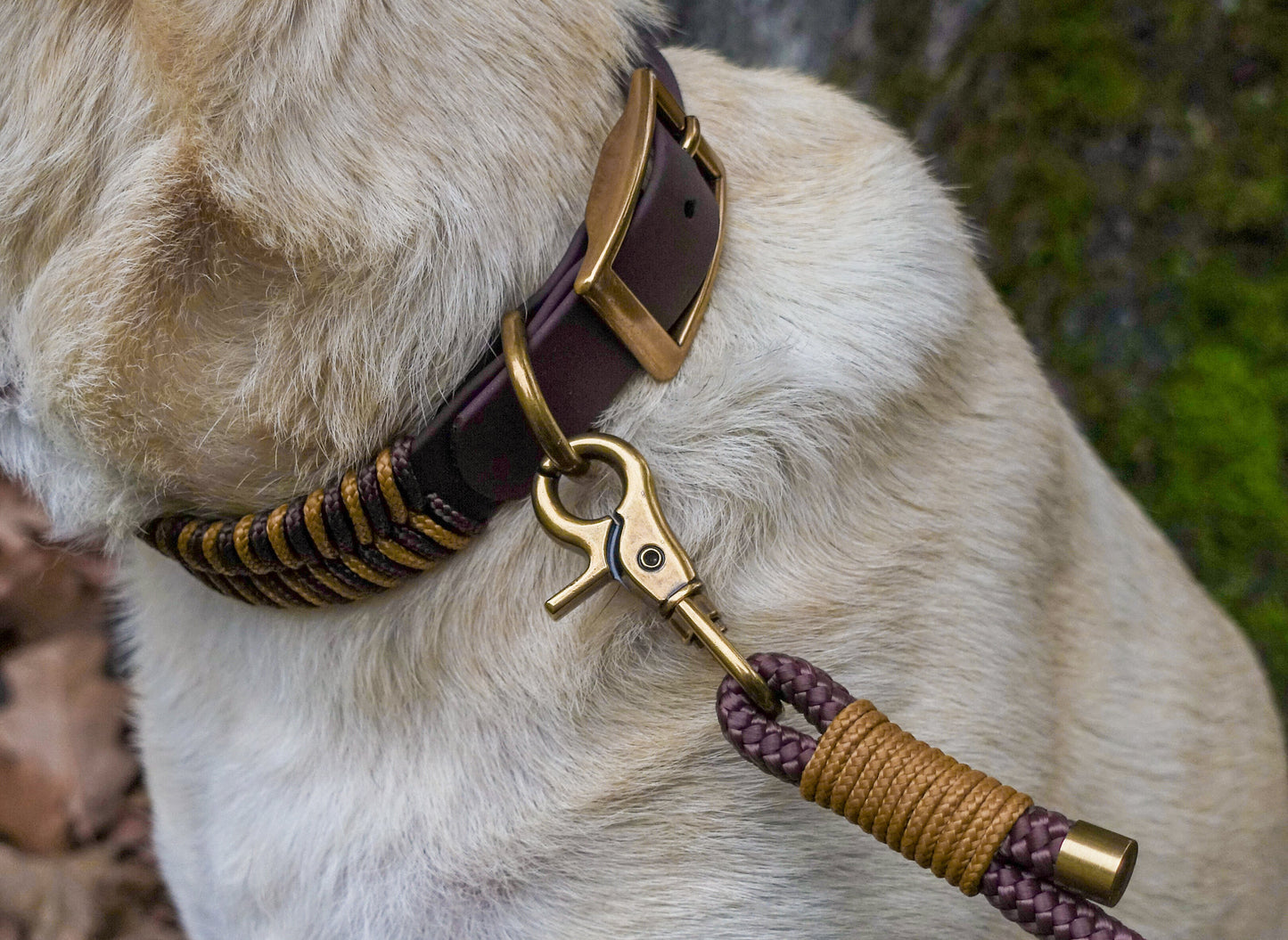 Biothane-Halsband "Grömitz" - Dunkelbraun x Karamell