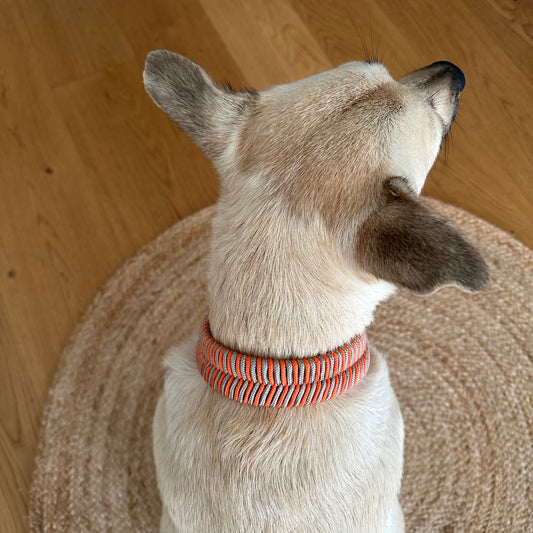 Biothane-Halsband "Sellin"- Taupe x Orange
