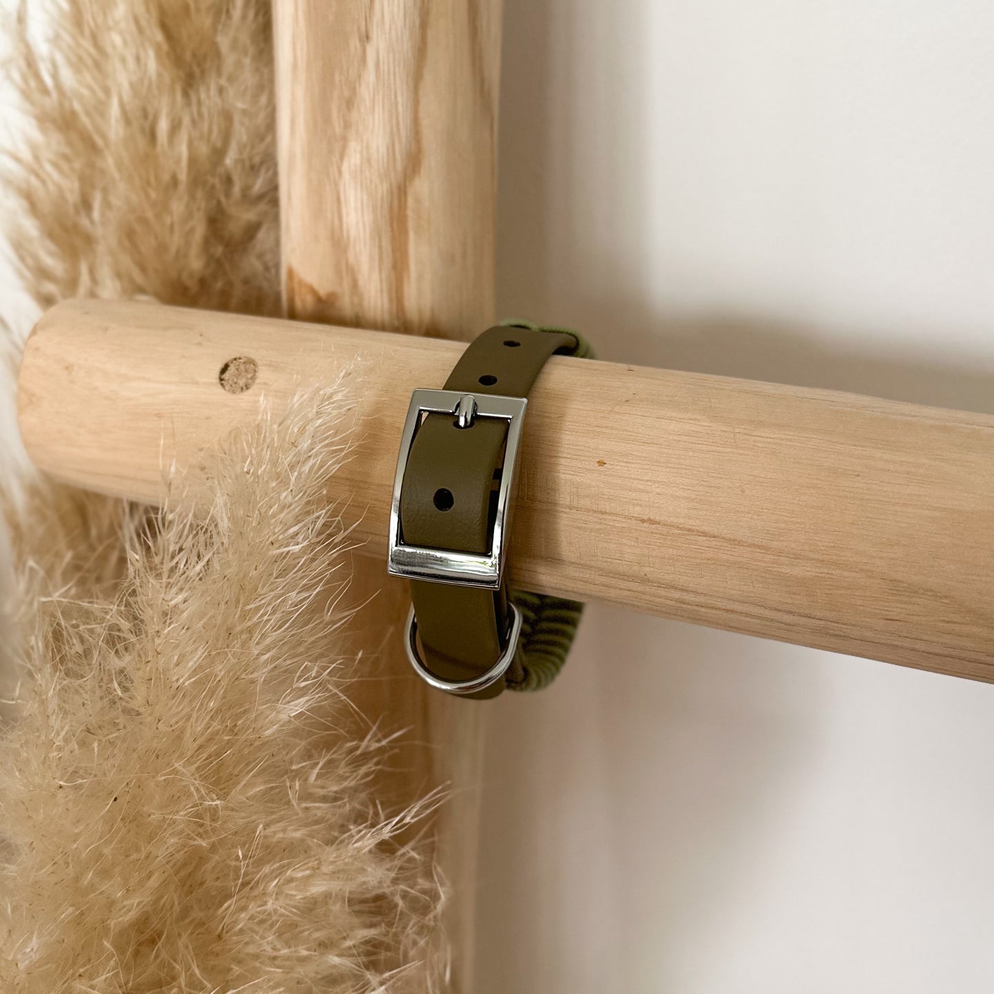 Biothane-Halsband "Grömitz" - Olive x Avocado