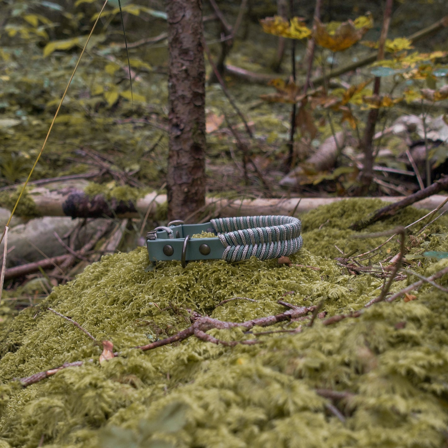 Biothane-Halsband "Binz" - Foggy x Taupe