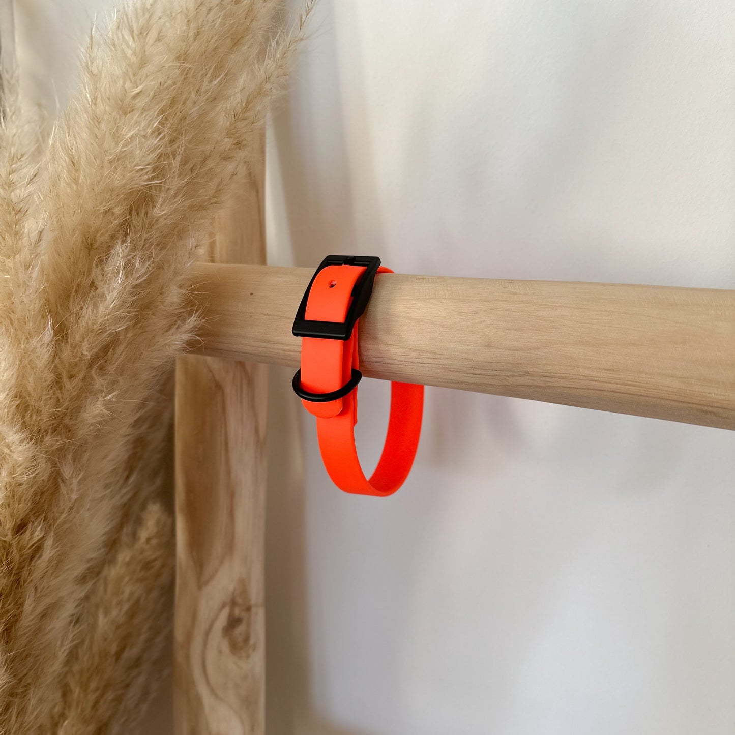 Biothane-Halsband "Prerow"