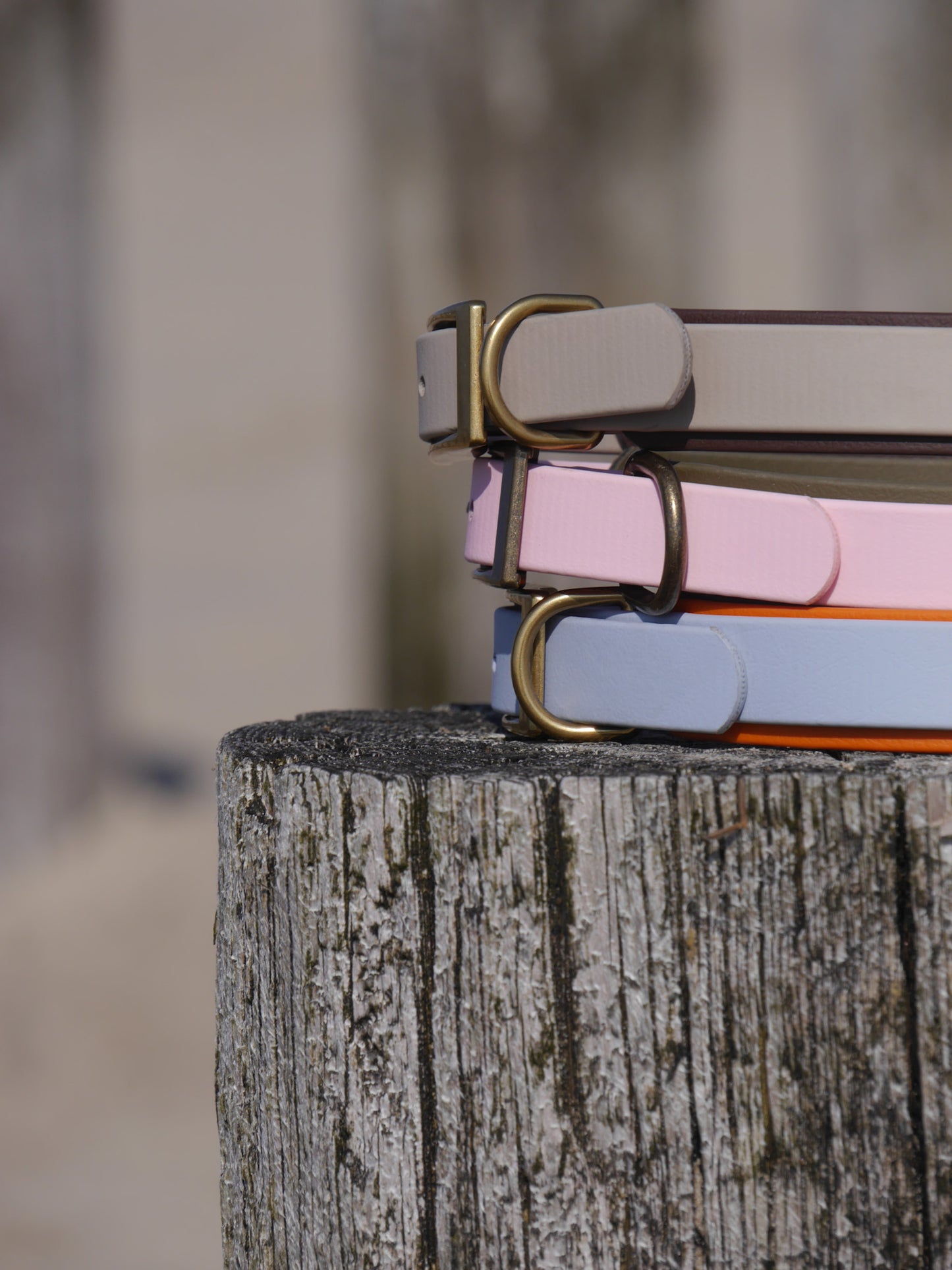 Biothane-Halsband "Garda"