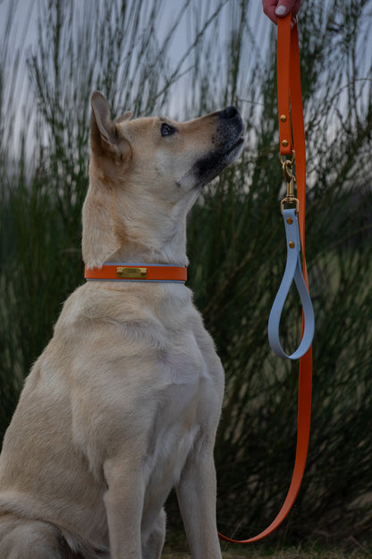 Biothane-Halsband "Garda"