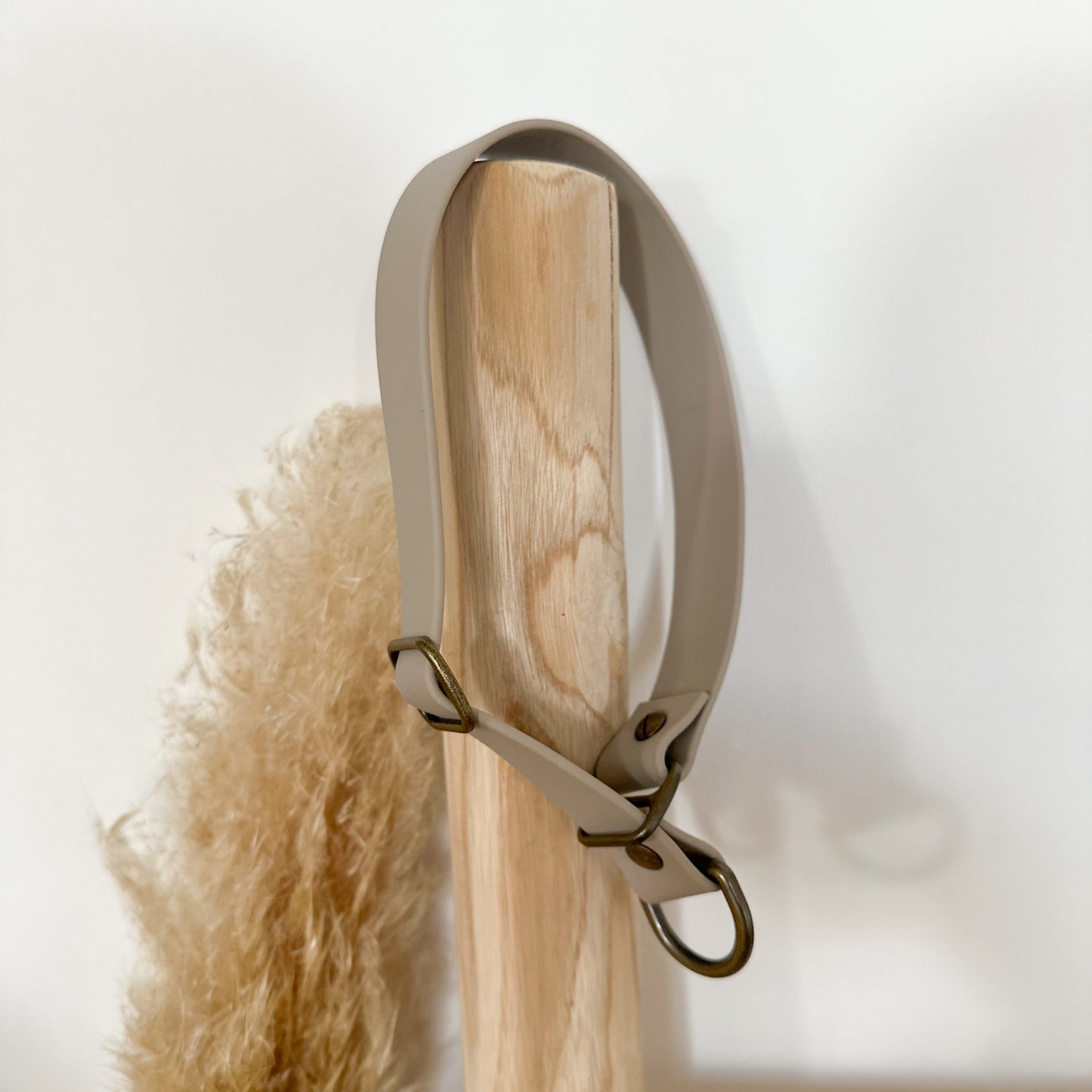 Biothane-Halsband "Lübeck"