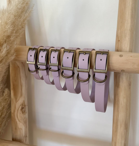 Biothane-Halsband "Prerow" - Flieder