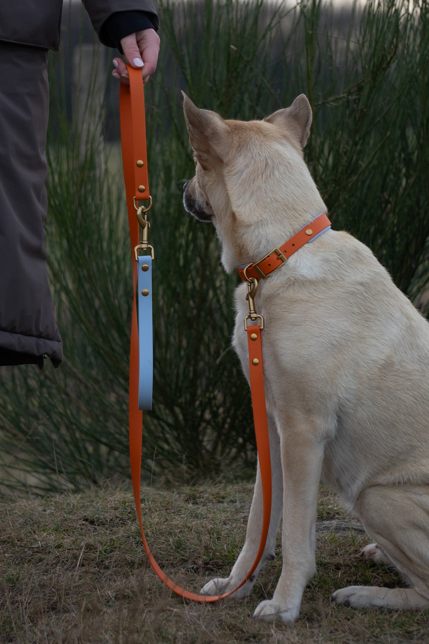 Biothane-Halsband "Garda"