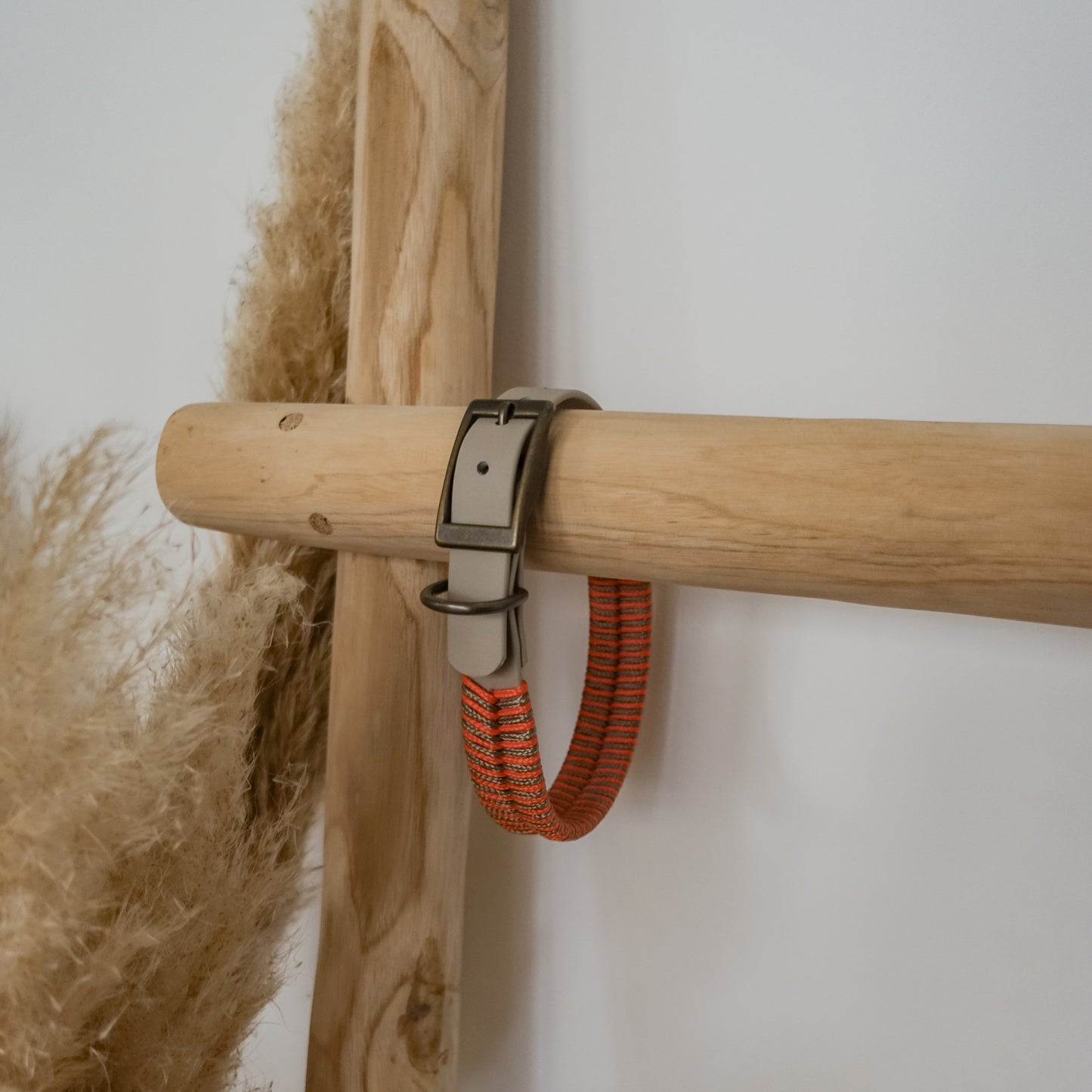 Biothane-Halsband "Grömitz"