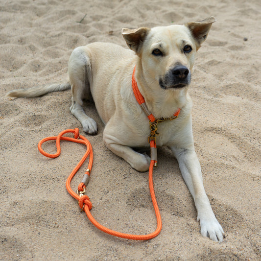 Tauleine "Texel" | Design your own