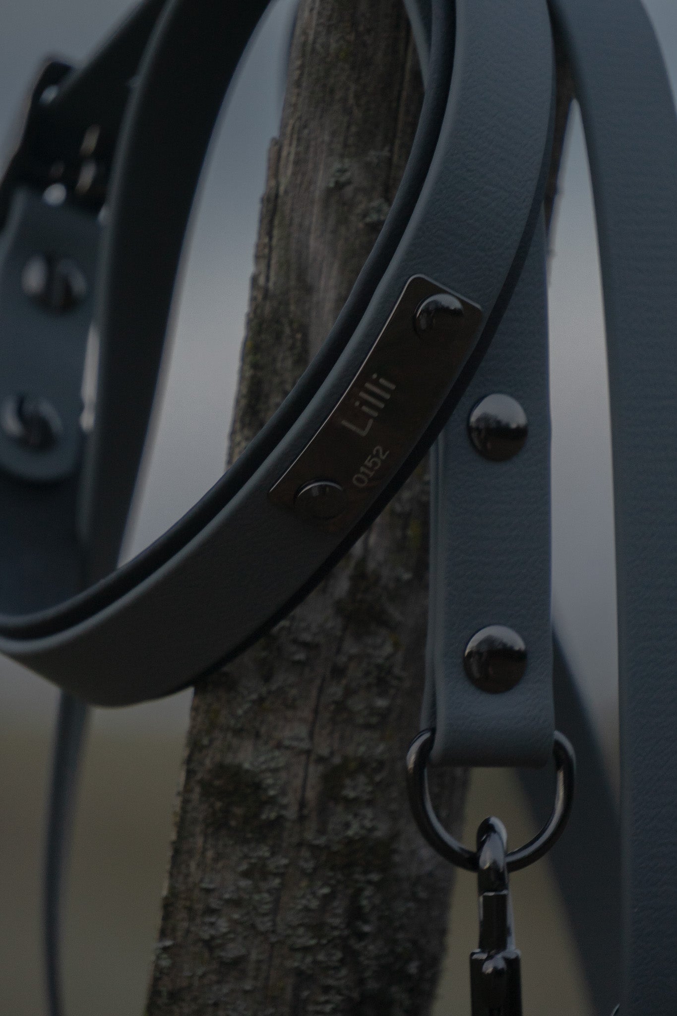Biothane-Halsband "Garda"