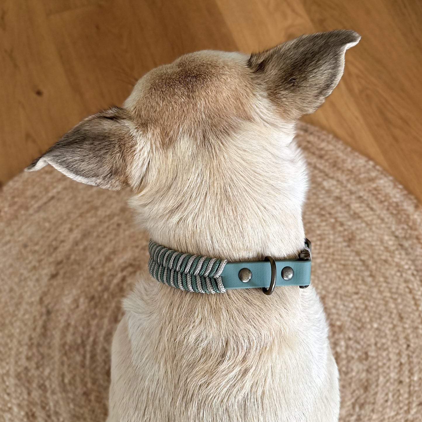 Biothane-Halsband "Binz" - Foggy x Taupe