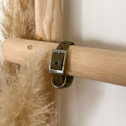 Biothane-Halsband "Grömitz" - Olive x Avocado